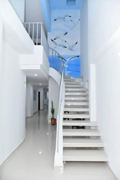 Modern 2br Walking Distance From Airport Apartment